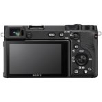 sony a6600