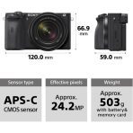sony a6600