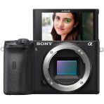 sony a6600
