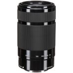 Sony E 55-210mm f/4.5-6.3 OSS